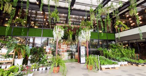 GREENHOUSE at the Village Square最新特色資訊，图片，及評 .